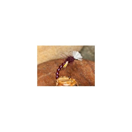 Buzzer PTBuzzer $2.34