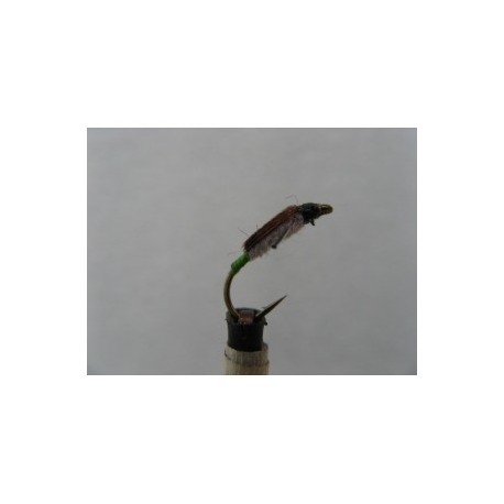 Nymphs water boatman nymph $2.34