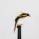 Nymphs buzzer holo gold diawl bach $2.34