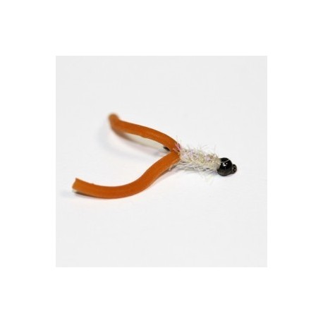 Nymphs earthworm two tailed squirmy worm $2.34
