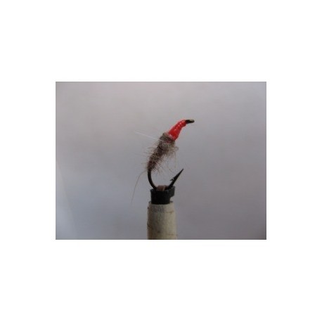 Nymphs copper hares ear $2.34