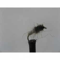 Nymphs caddis nymph $2.34