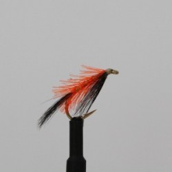 Nymphs organza black and orange diawl bach $2.34