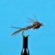 Nymphs Pheasant Tail Nymph $2.34