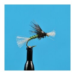 Nymphs Chironomid Pupa  Olive $2.34