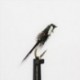 Nymphs black flashback diawl bach( ) $2.34