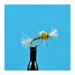 Nymphs Suspended Midge Pupa  Olive $2.34