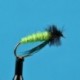 Nymphs Little Green Rock Worm $2.34
