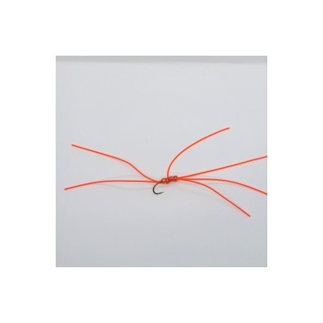 Nymphs northern orange b w $2.34