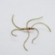 Nymphs northern olive blood worm $2.34