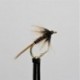 Nymphs ians summer olive fronz cruncher $2.34