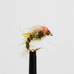 Nymphs olive midge pupa with orange wing cover $2.34