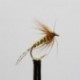 Nymphs cassidys cruncher $2.34