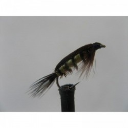 Nymphs tellico nymph $2.34