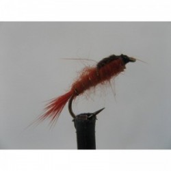 Nymphs orange hares ear $2.34