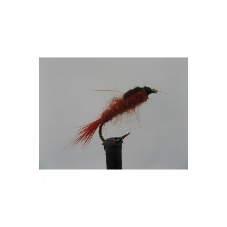 Nymphs orange hares ear $2.34