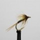 Nymphs ians sunburst fronz cruncher $2.34