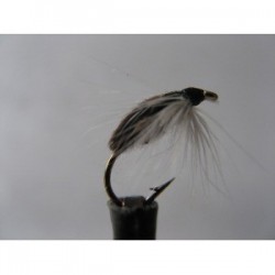 Nymphs caenis nymph $2.34