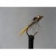 Nymphs gold head fire tail hares ear $2.34