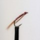 Nymphs phantom red diawl bach $2.34