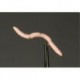 Nymphs San Juan Worm Shell Pink Side $2.34