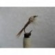 Nymphs Standards sawyers hares ear pheasant tail $2.34