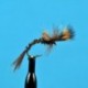 Nymphs Standards Pheasant Tail Challenged $2.34