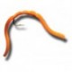 Nymphs Standards Squiggly San Juan Worm Fl Orange $2.34