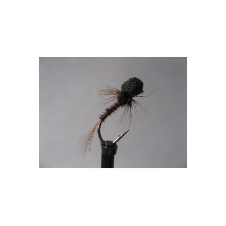 Nymphs Standards ians holo neon cruncher booby $2.34