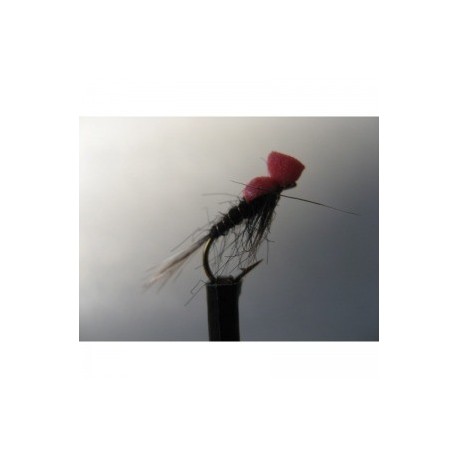 Nymphs Standards ians foam killer black nymph $2.34