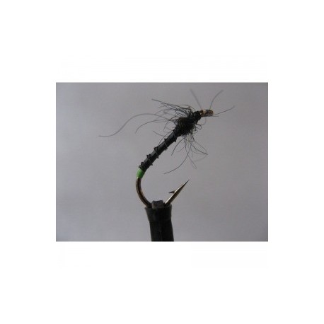 Nymphs Standards black nutt nymph $2.34