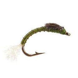 Buzzer Toms Olive Buzzer $2.34