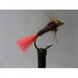 Nymphs Standards gold head fl orange tail pheasant tail $2.34