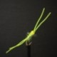 Nymphs Standards hot head fl yellow perfect rubber blood worm( ) $2.34