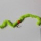 Nymphs Standards hulk orange bead chewing gum worm $2.34