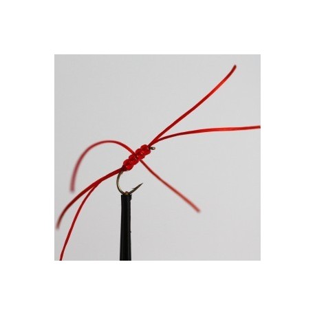 Nymphs Standards northern red b w $2.34