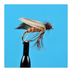 Nymphs Standards Speckled Sedge $2.34