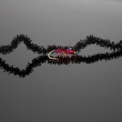 Nymphs Standards black red wine uv fritz chewing gum worm $2.34