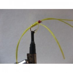 Nymphs Standards rainbow yellow apps b w $2.34