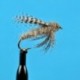Nymphs Standards Gray Derdgebug $2.34