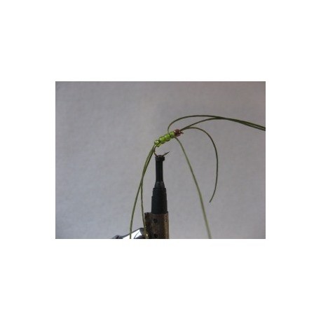 Nymphs Standards rainbow olive apps b w $2.34