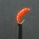 Nymphs Standards orange weighted flash shrimp $2.34