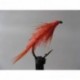 Nymphs Standards organza fl blood orange diawl bach $2.34