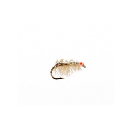 Nymphs Standards ray charles flashback tan $2.34