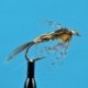 Nymphs Standards Stonefly Creeper $2.34