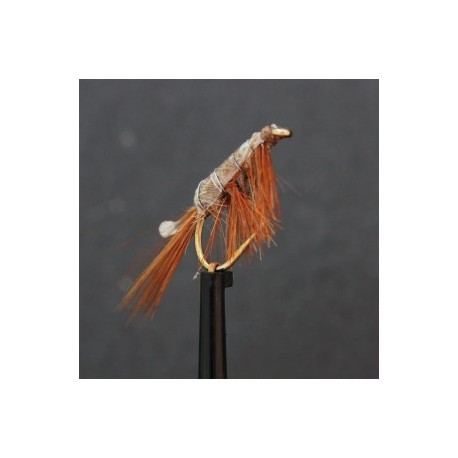 Nymphs Standards swimming shrimp $2.34