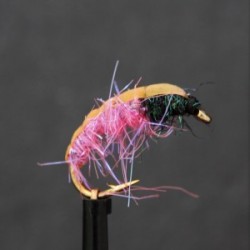 Nymphs Standards sparkle orange wtd czech nymph $2.34