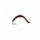 Nymphs Standards erie earthworm $2.34