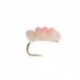 Nymphs Standards blood line egg baby pink $2.34
