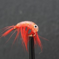 Nymphs Standards orange epoxy shrimp $2.34